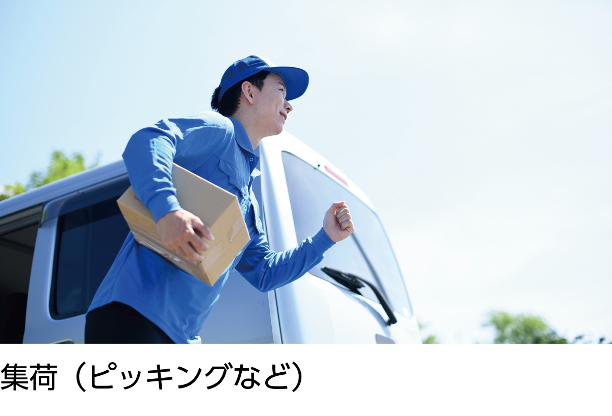 集荷(ピッキングなど)